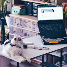 Work Smarter, Not Harder – Productivity and Efficiency Hacks